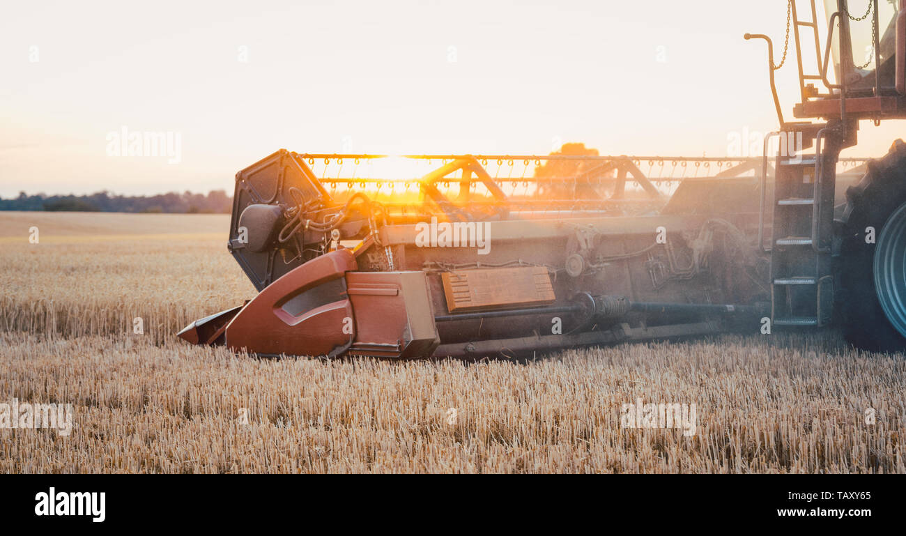 Mähdrescher Ernten von Weizen bei Sonnenuntergang Stockfoto