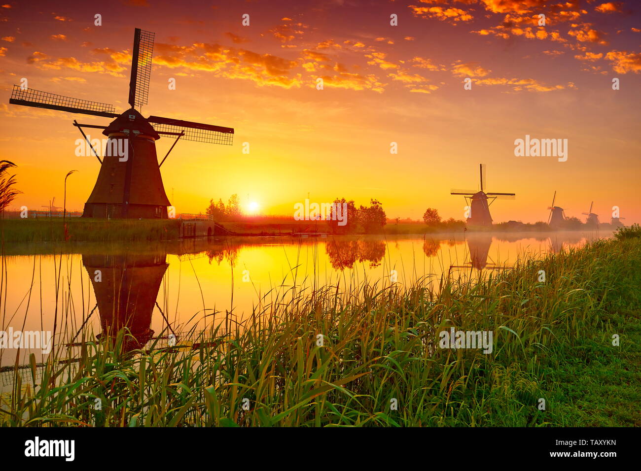 Windmühlen bei Sonnenaufgang, Kinderdijk, Niederlande Stockfoto