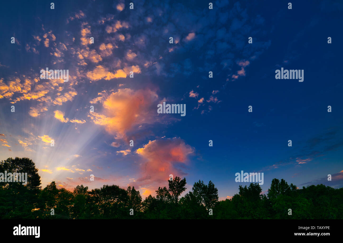 Die Wolken in den frühen Himmel nehmen auf sanften Pastelltönen in ländlichen Alabama. Den Sonnenaufgang ist eine schöne und friedliche Art, den Tag zu beginnen. Stockfoto