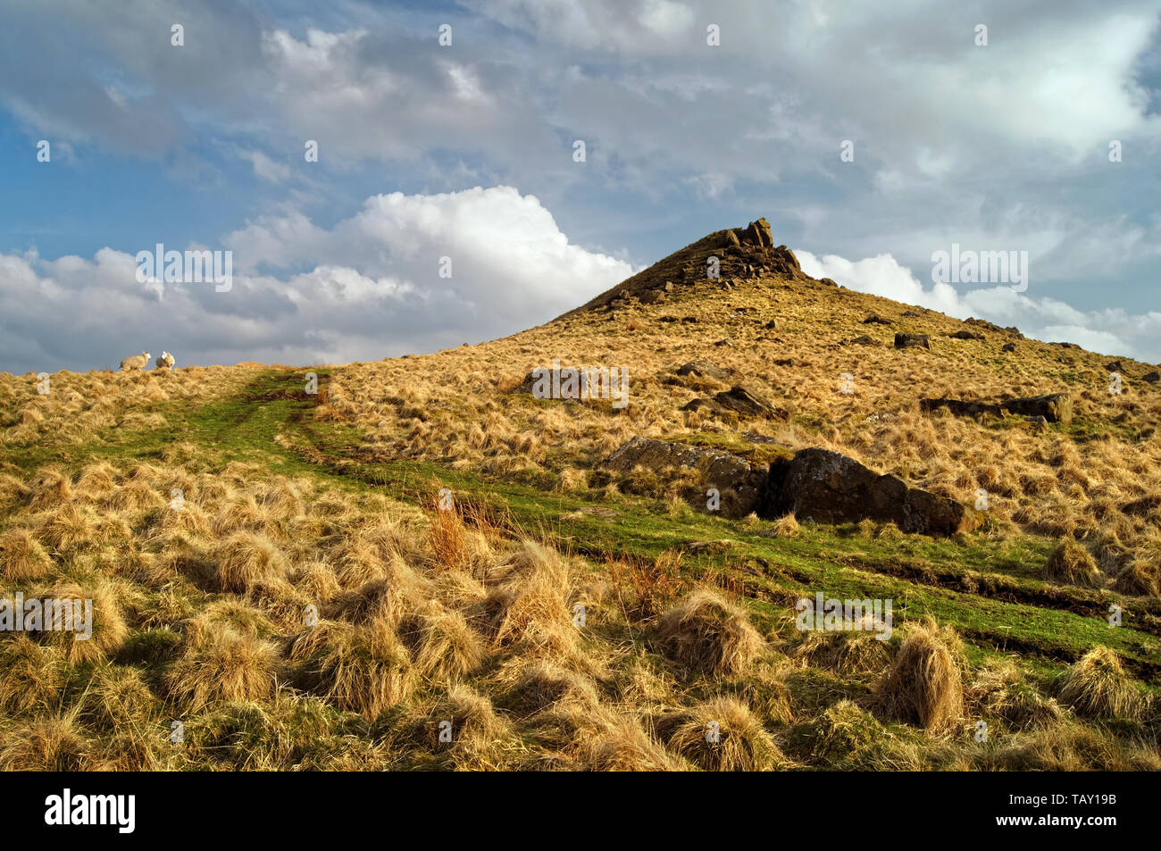 Großbritannien, Derbyshire, Peak District, Crook Hill. Stockfoto