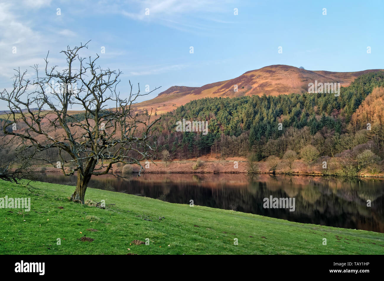 Großbritannien, Derbyshire, Peak District, Ladybower Reservoir mit Blick auf Whinstone Lee Tor Stockfoto