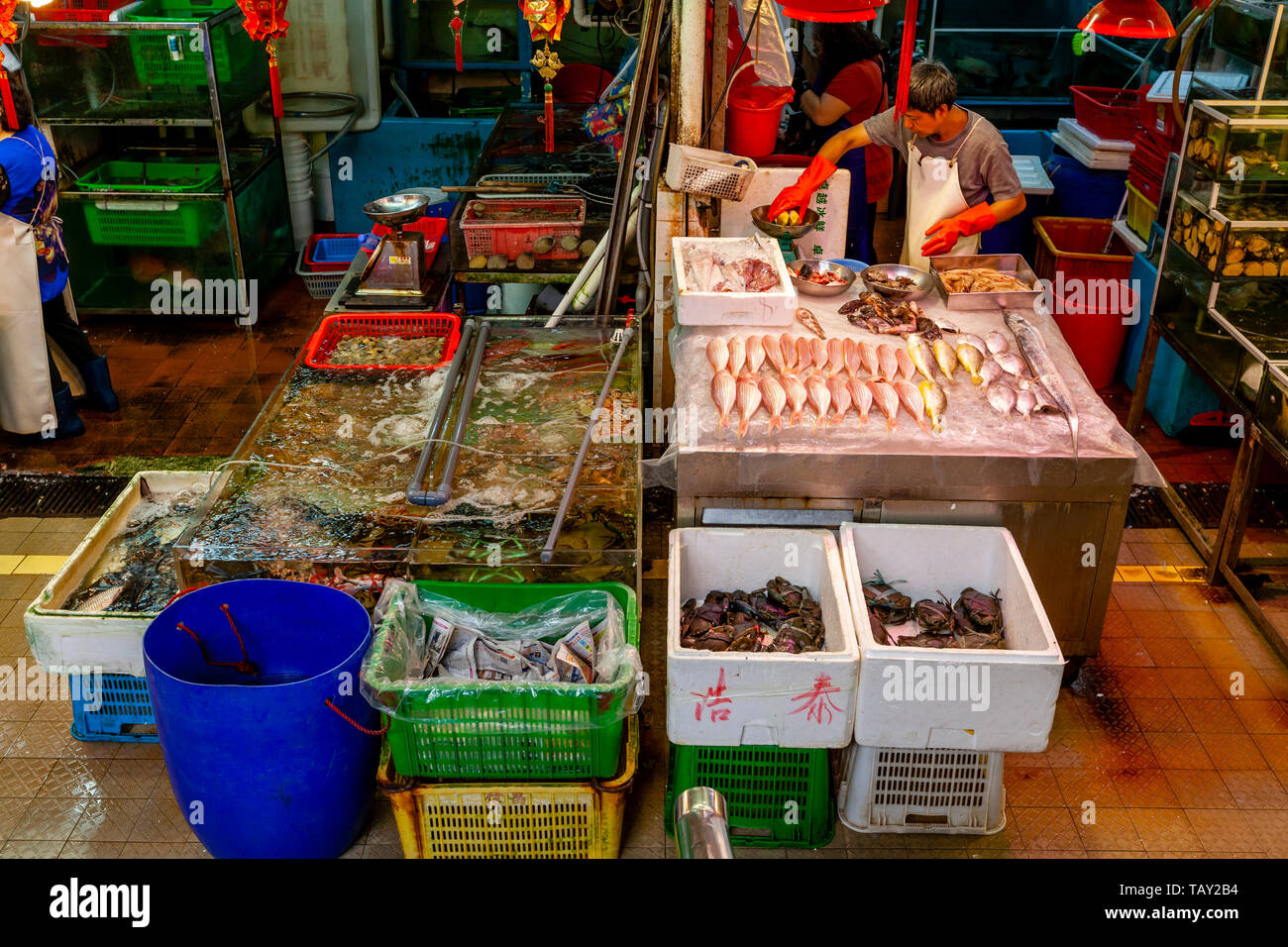 Ein nasser Fisch und Meeresfrüchte Abschaltdruck innerhalb der Bowrington Straße gekochtes Essen Zentrum, Hongkong, China Stockfoto