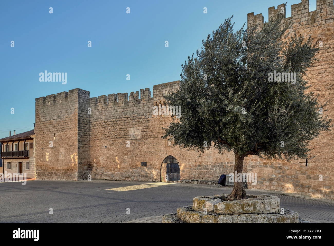 Befestigte mittelalterliche Palast von Don Diego Lopez de Zuñiga, Curiel de Duero in der Provinz Valladolid, Castilla y Leon, Spanien, Europa Stockfoto