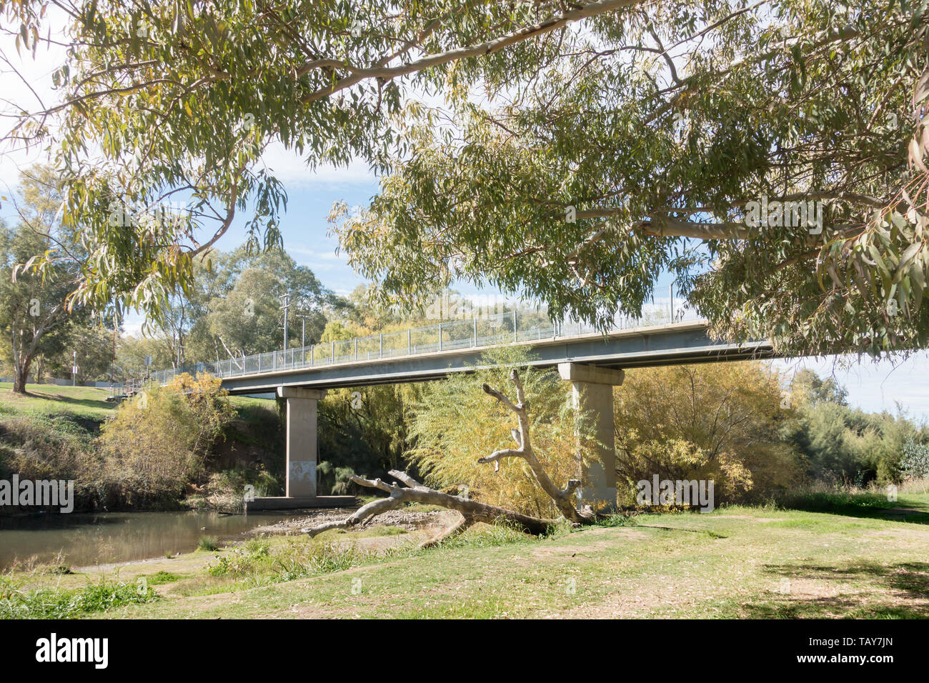 Peel River Fußgängerbrücke in Bicentennial Park, Tamworth NSW Australien führt. Stockfoto