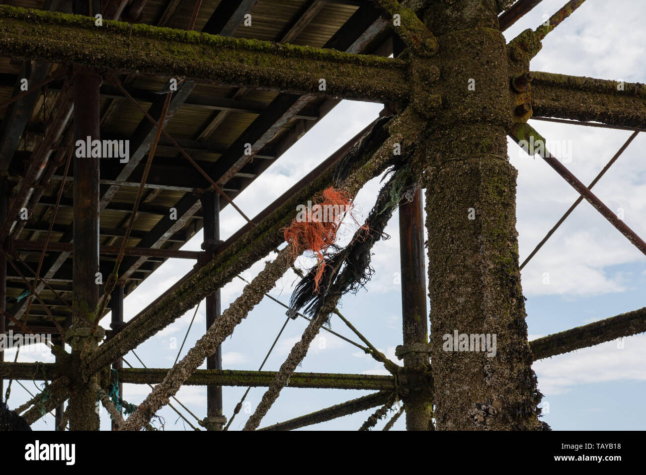 Kunststoff Angelschnur Gewirr an der Unterseite der Pier in Worthing, West Sussex Stockfoto