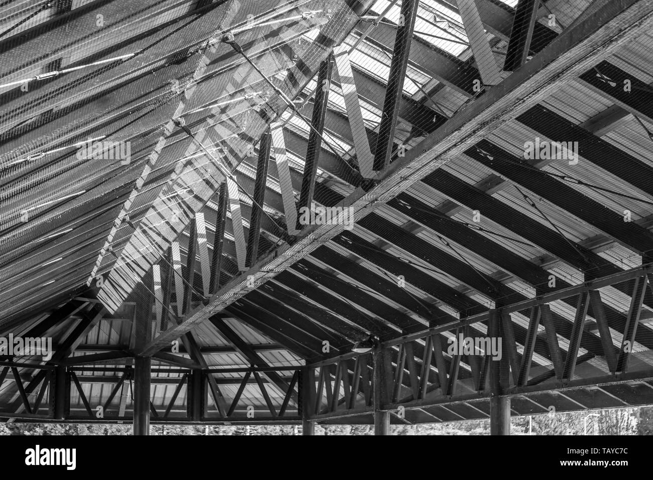 Ein Blick auf die Decke von innen eine pafilion an Gen Coulon Park in Reonton, Washington. Stockfoto