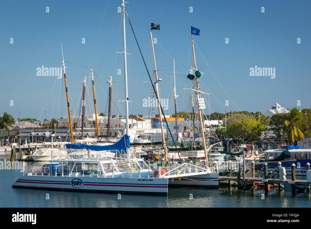 Boote in den alten Yachthafen von Key West, Florida, USA Stockfoto