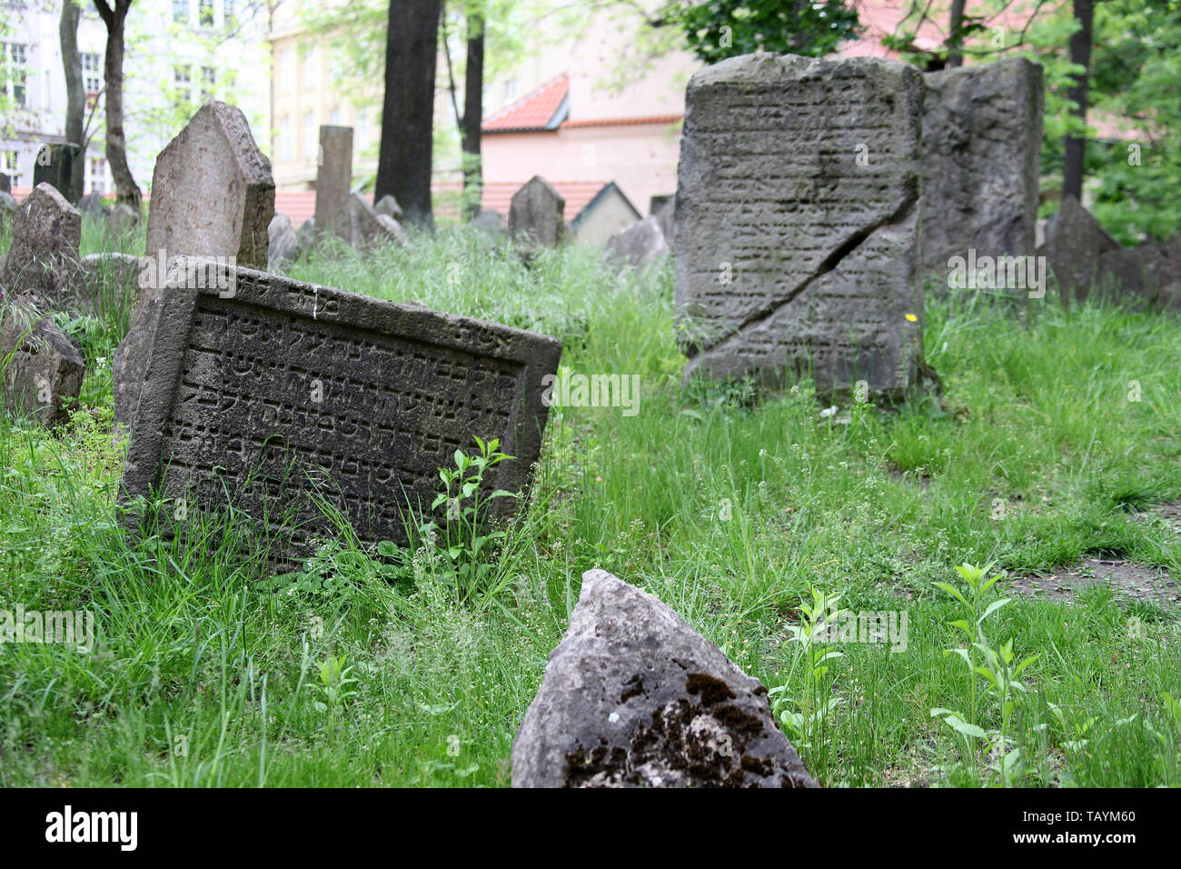 Der alte jüdische Friedhof in Prag Josefov Stockfoto