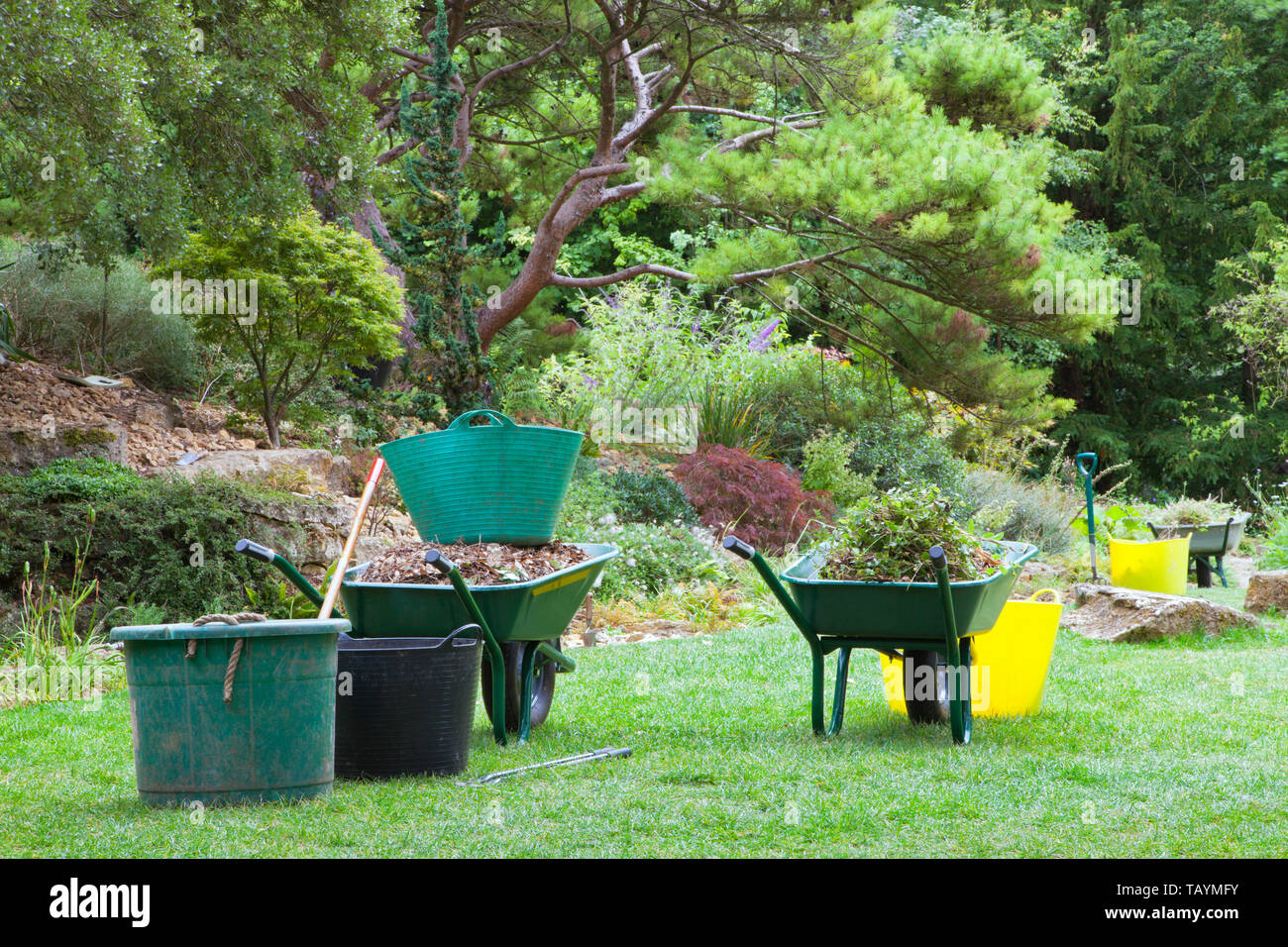 Gartenarbeit in einem angelegten Garten mit Schubkarren, Eimer voller Blätter und Unkraut. Stockfoto