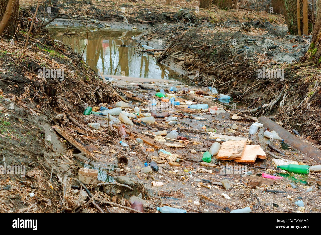 Die Verschmutzung von Stauseen, Müll im Wald am Fluss Stockfoto