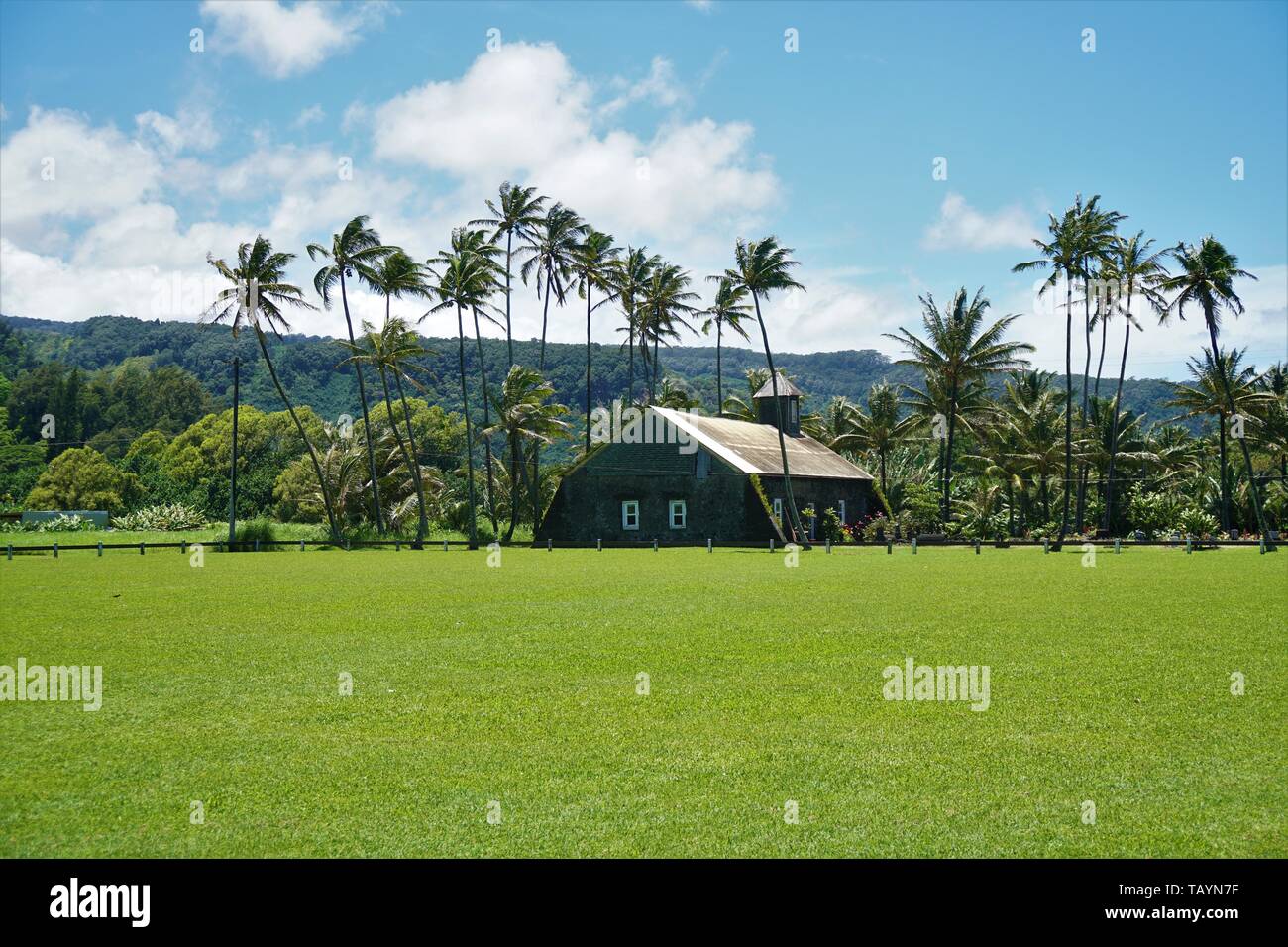 Unglaublichen garten Szene auf der Insel Maui Stockfoto
