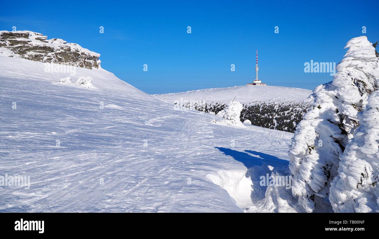 Östlichen Sudeten, Praded Hügel mit Kommunikation Turm im Gesenke, Tschechische Republik Stockfoto