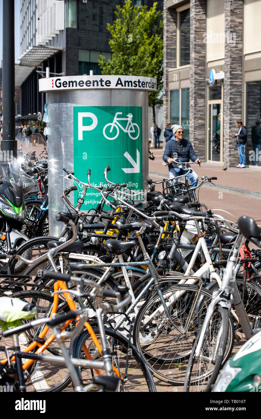 Amsterdam, Niederlande, Fahrradverleih, Parkplatz in der Nähe des Hauptbahnhof, kostenlos, Stockfoto