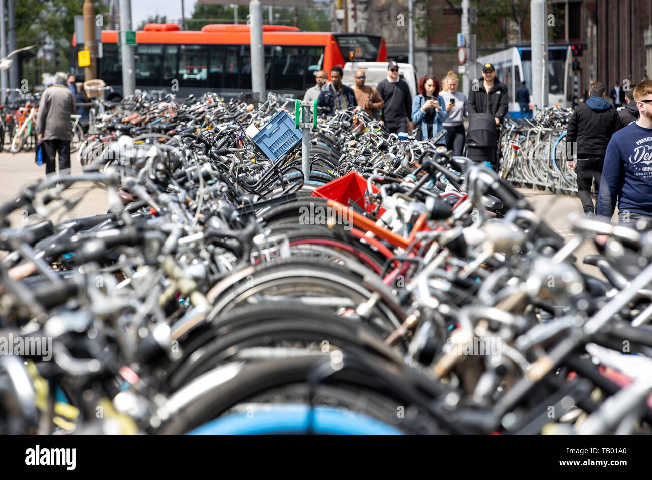 Amsterdam, Niederlande, Fahrradverleih, Parkplatz in der Nähe des  Hauptbahnhof, kostenlos Stockfotografie - Alamy