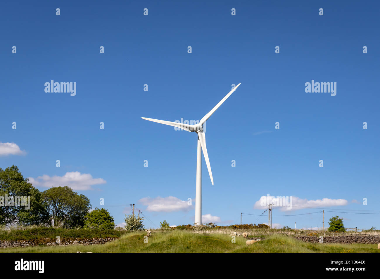 Carsington Windpark Turbinen und malerischer Aussicht liegt nördlich von carsington in Derbyshire, England.DE Stockfoto