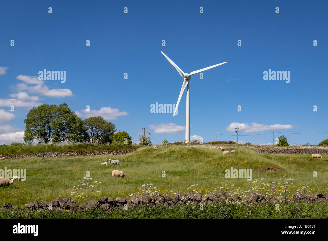 Carsington Windpark Turbinen und malerischer Aussicht liegt nördlich von carsington in Derbyshire, England.DE Stockfoto