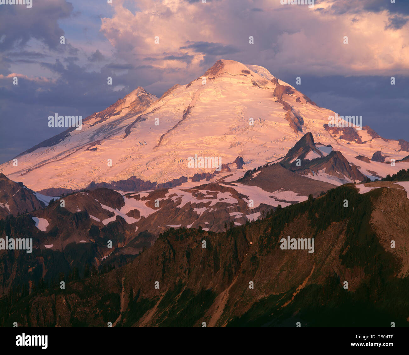 USA, Washington, Mt. Baker Snoqualmie National Forest, Sunrise Licht auf Gletscher-plattiert Nordosten des Mt. Baker in Mt. Baker Wilderness. Stockfoto