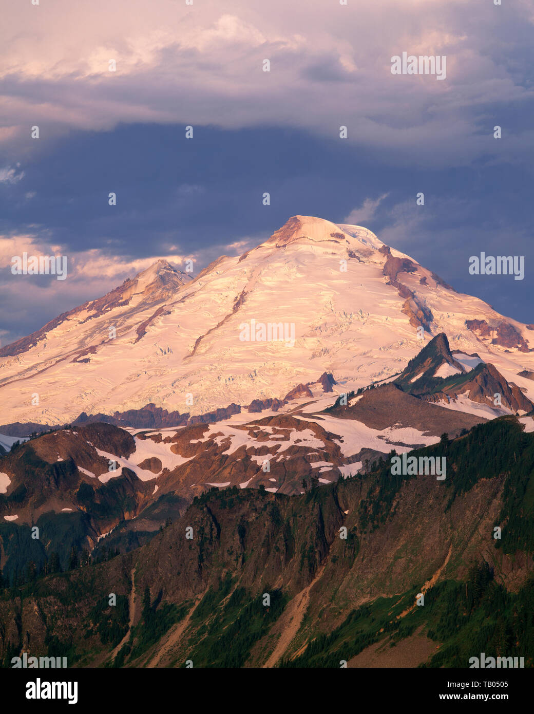 USA, Washington, Mt. Baker Snoqualmie National Forest, morgen Licht auf Gletscher-plattiert Nordosten des Mt. Baker in Mt. Baker Wilderness. Stockfoto