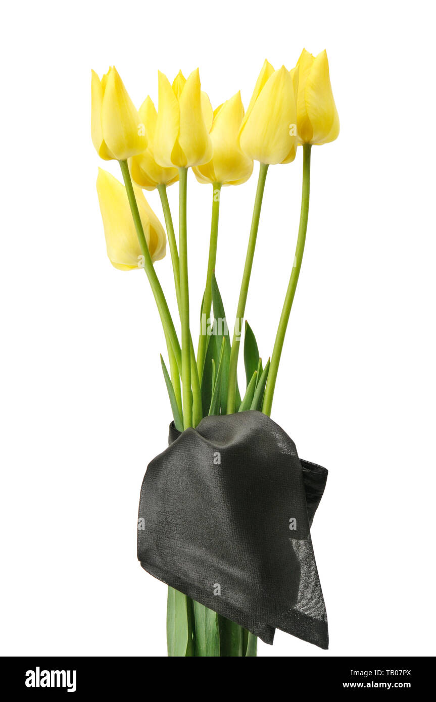 Strauß gelber Blumen für eine Beerdigung auf weißem Hintergrund Stockfoto