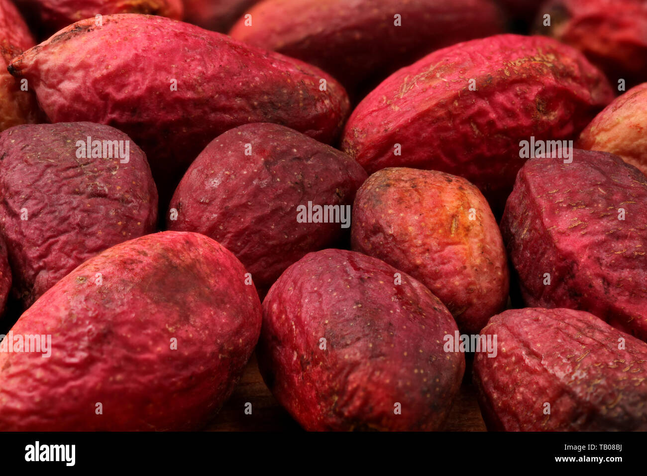 Nahaufnahme des raw-rot, Pistazien, Nüsse noch unter die Haut. Stockfoto