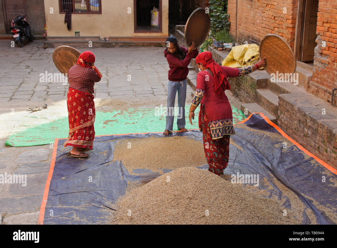 Frauen worfeln geerntet Reis im Innenhof zwischen Gebäuden, Jiaxing, Nepal Stockfoto