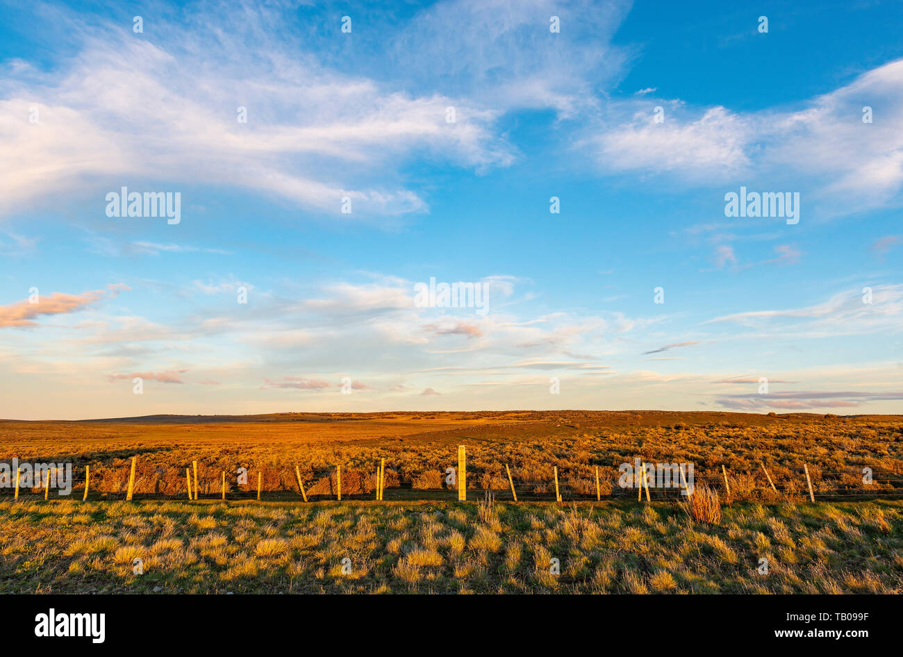 Steppenlandschaft in Patagonien bei Sonnenuntergang zwischen Punta Arenas und Puerto Natales, Chile. Diese Landschaft ist generisch im südlichen Chile und Argentinien. Stockfoto Steppenlandschaft in Patagonien bei Sonnenuntergang zwischen Punta Arenas und Puerto Natales, Chile. Diese Landschaft ist generisch im südlichen Chile und Argentinien. Stockfoto