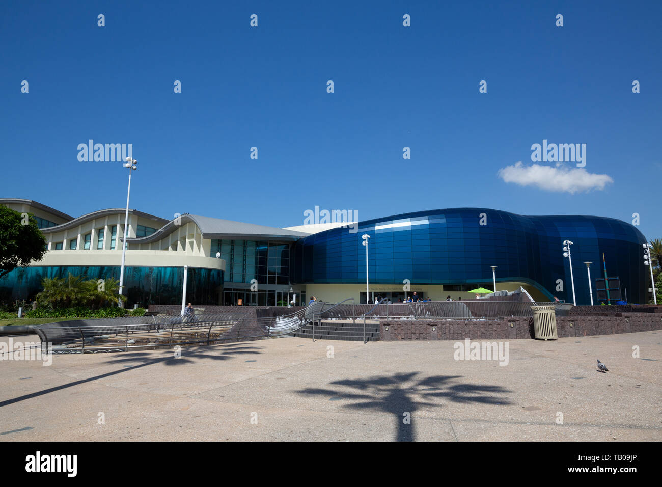 Pacific Visionen am Aquarium des Pazifik, Long Beach, CA, USA Stockfoto