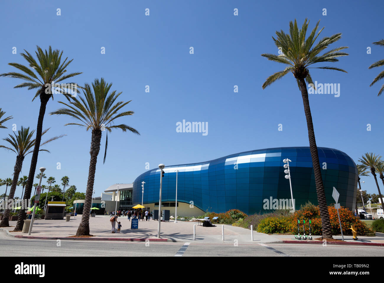 Pacific Visionen am Aquarium des Pazifik, Long Beach, CA, USA Stockfoto