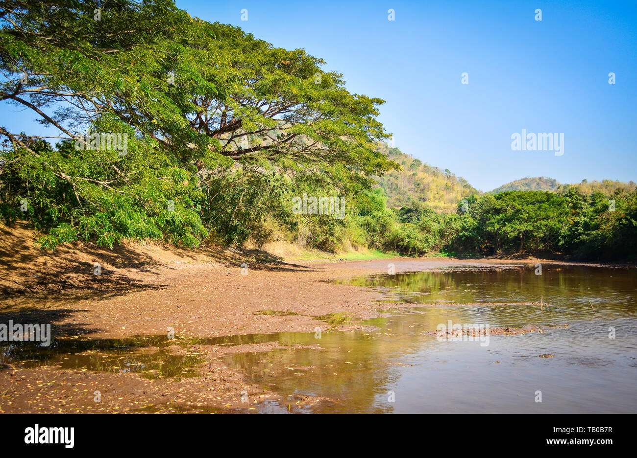 Getrocknete Teich Schlamm während der langen Sommer Wasser trockenen Jahreszeit mit großen alten Baum von Tageslicht Stockfoto