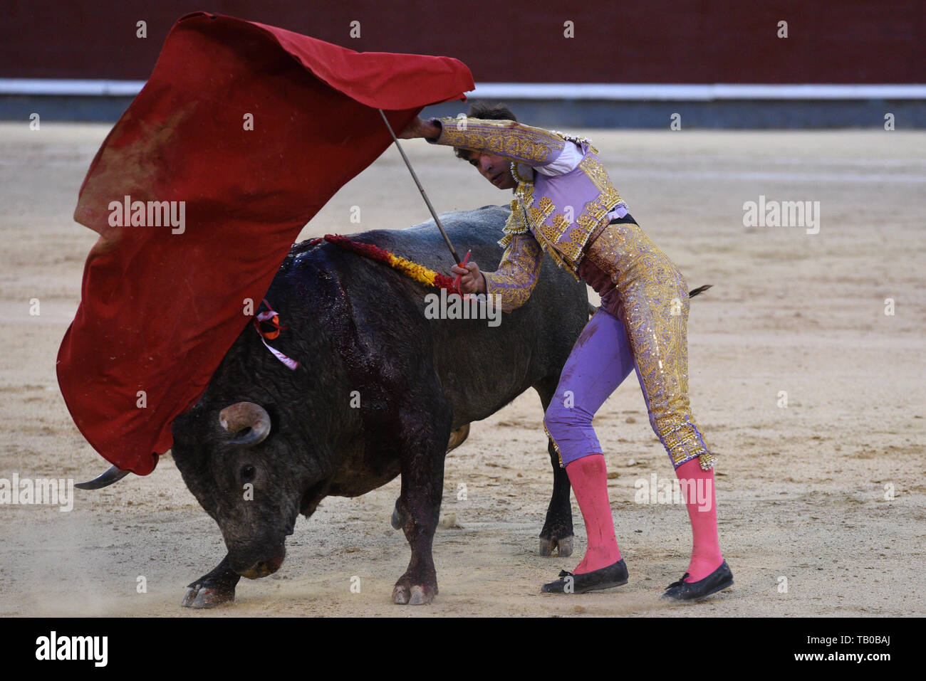 Spanischen matador Angel Sanchez ist gesehen, die mit einem "Jose Escolar" Ranch kämpfende Bullen bei einem Stierkampf in der Stierkampfarena Las Ventas in der 2019 San Isidro Festival in Madrid. Stockfoto