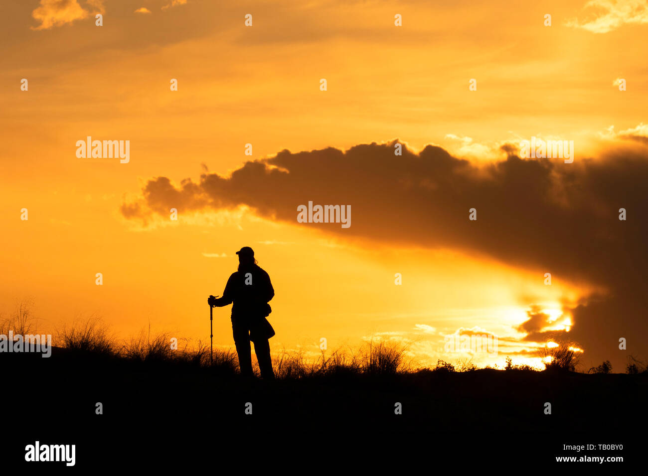 Wanderer sunrise, Bruneau Dunes State Park, Snake River Greifvögel National Conservation Area, Idaho Stockfoto