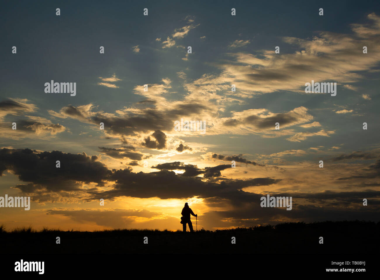 Wanderer sunrise, Bruneau Dunes State Park, Snake River Greifvögel National Conservation Area, Idaho Stockfoto