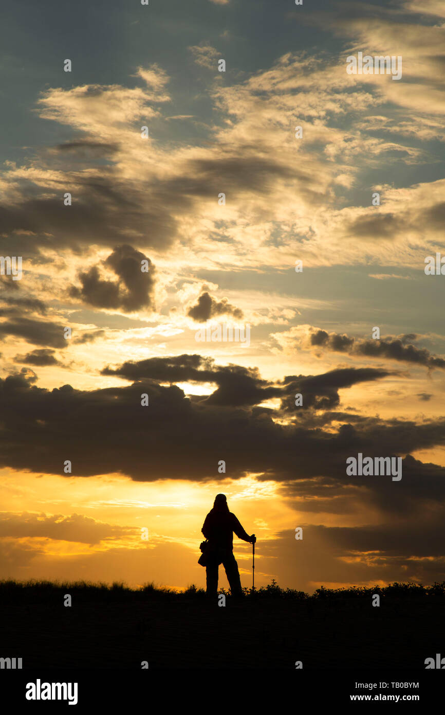 Wanderer sunrise, Bruneau Dunes State Park, Snake River Greifvögel National Conservation Area, Idaho Stockfoto