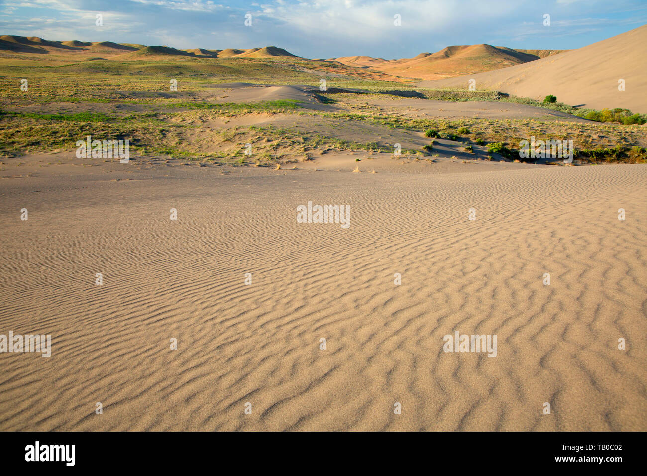 Dune Wellen, Bruneau Dunes State Park, Snake River Greifvögel National Conservation Area, Idaho Stockfoto