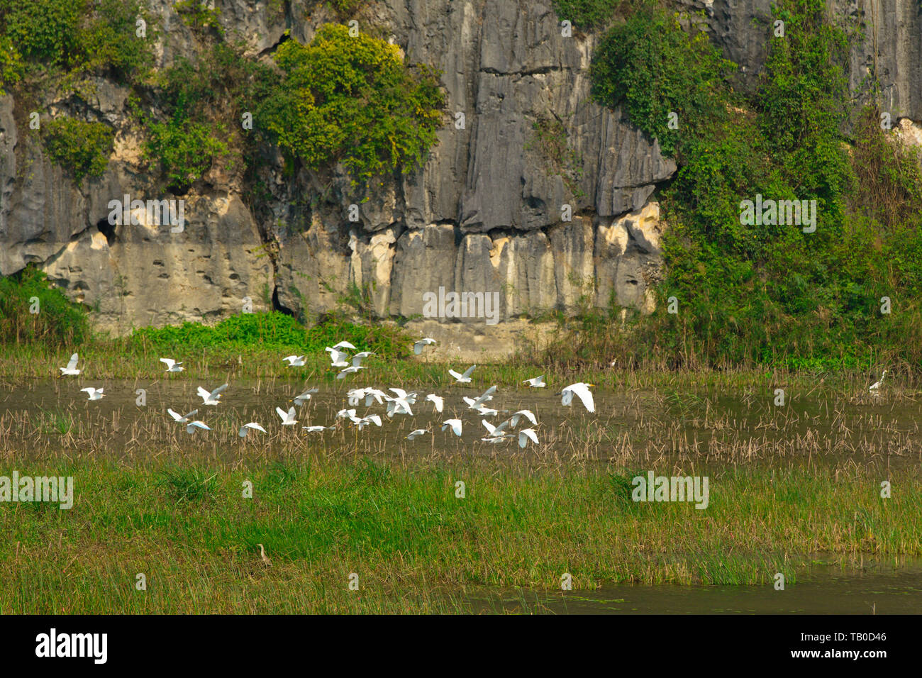 Landschaft im Inneren Van Langen Naturpark. Stockfoto