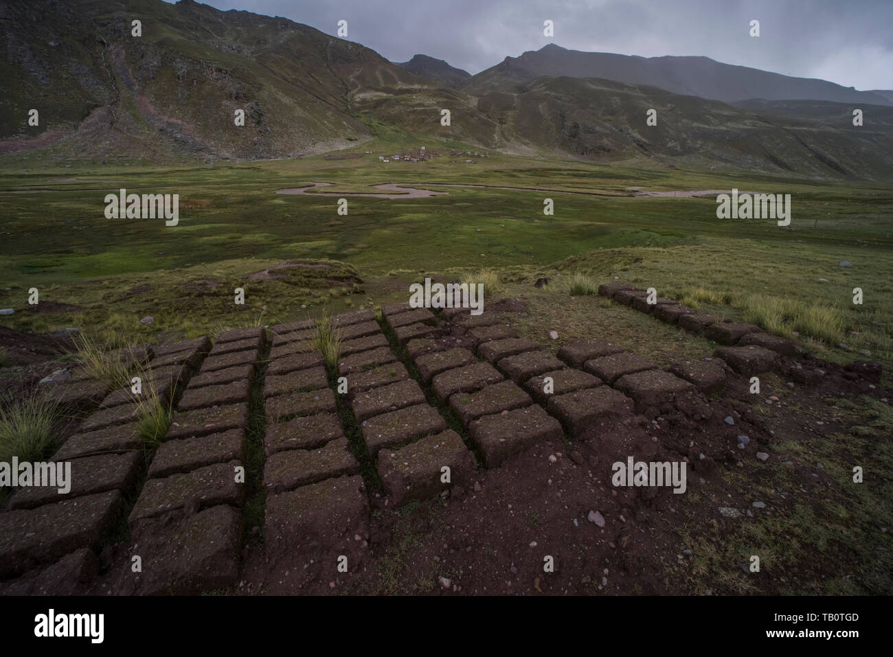 Lehmziegel lag in der Sonne trocknen, so dass sie für den Bau in einem nahe gelegenen Anden Dorf in Peru verwendet werden können. Stockfoto