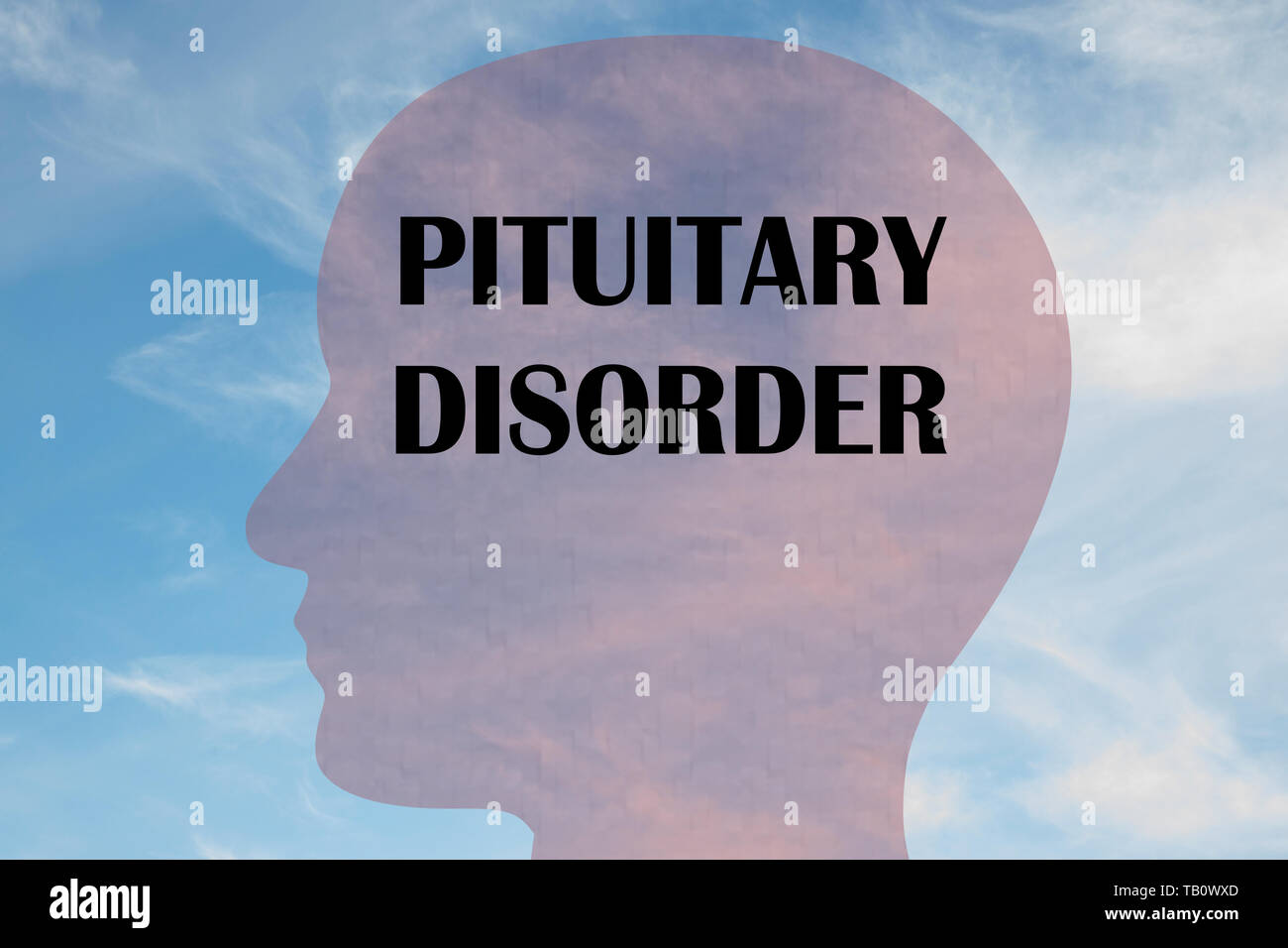 Hormone Hypothalamus Anatomy Diagram Stockfotos und -bilder Kaufen - Alamy