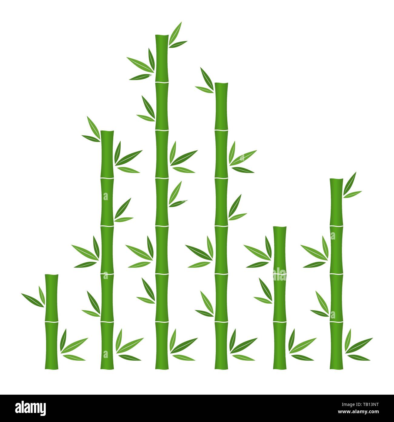 Grüner Bambus Zweige und Blätter. Vector Illustration. Bambus stammt. Bambus-Symbol. Stock Vektor