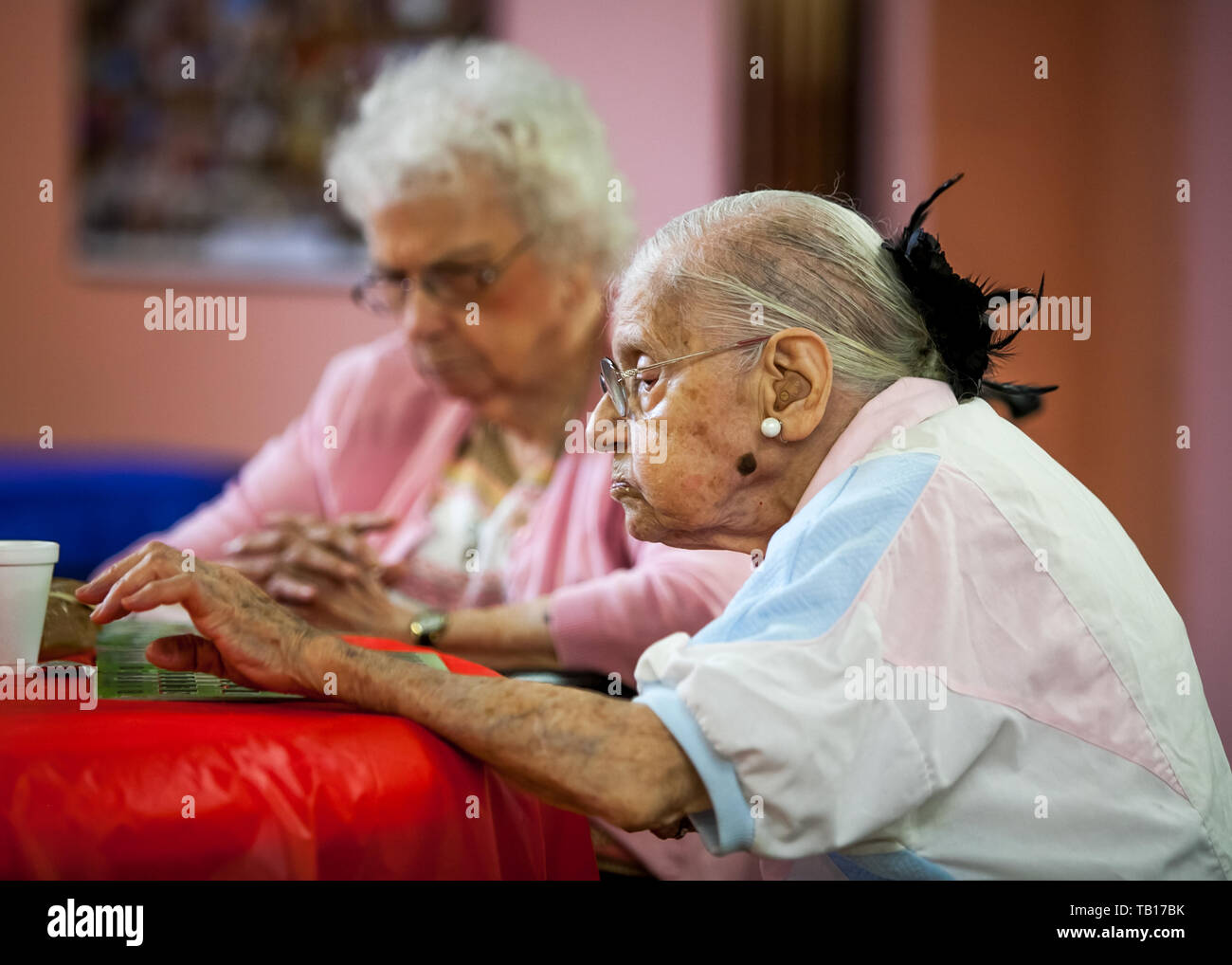 2 Frauen Senioren s an einem älteren Mitte in Ardmore PA Bingo spielen Stockfoto