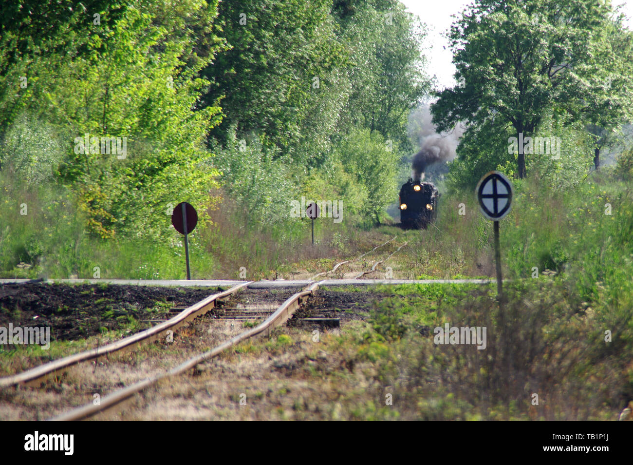 Alte Personenzug auf Spuren durch den Wald. Retro Lokomotive mit einer Dampfmaschine fährt entlang der alten gebogene Gleise. Stockfoto