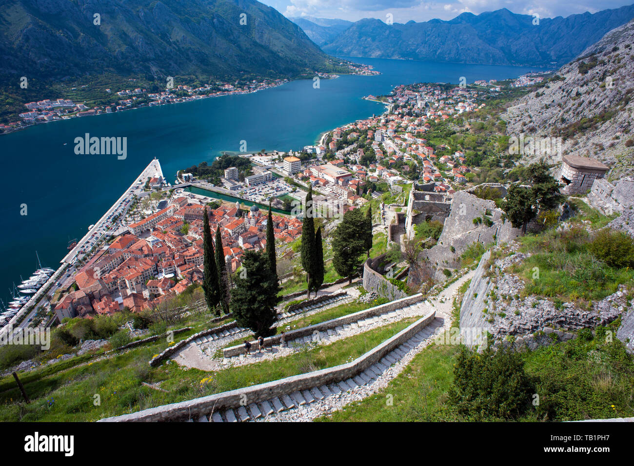 Blick hinunter auf die befestigte Hafenstadt Kotor – eine kleine Siedlung aus venezianischer Zeit, die entlang einer ria, einer untergetauchten Flussschlucht, in Montenegro erbaut wurde. Stockfoto