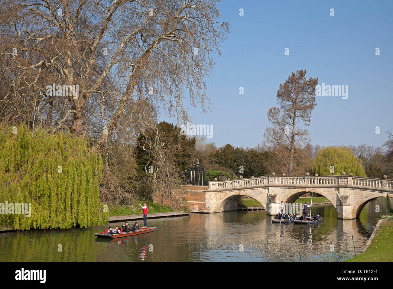 Punting auf dem Fluss Cam, Clare Bridge, Cambridge, England, Großbritannien Stockfoto