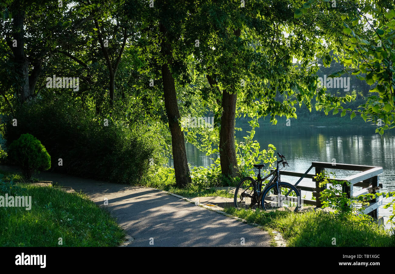 Fahrrad Geparkt am Ufer des Sees mit grüner Vegetation Stockfoto