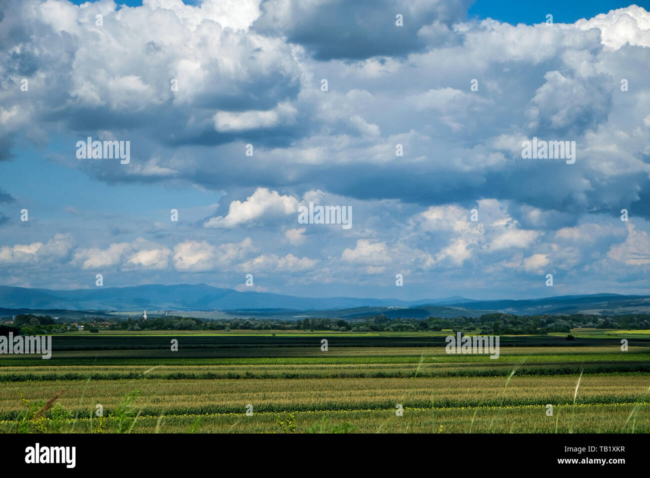 Bauernhof Feld mit Cloudscape und die Berge in der Ferne Stockfoto