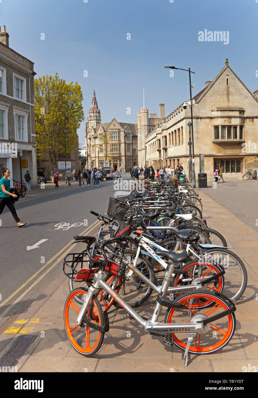 Fahrräder, das Stadtzentrum von Cambridge, England, Großbritannien Stockfoto