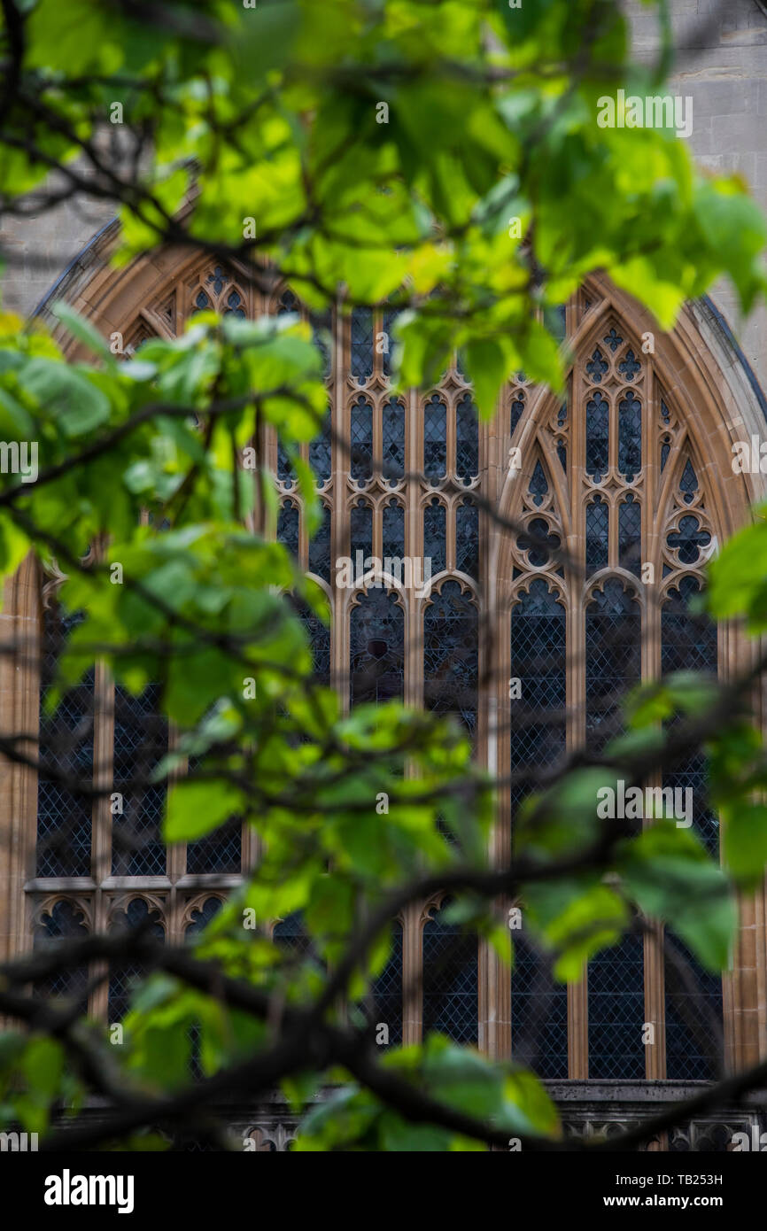 London, Großbritannien. 29. Mai 2019. Der Palast von Westminster ist wieder ruhig als MP's sind auf einer weiteren Pause. Touristen Einblick in seinen friedlichen Zustand durch den Frühling Grün. Credit: Guy Bell/Alamy leben Nachrichten Stockfoto