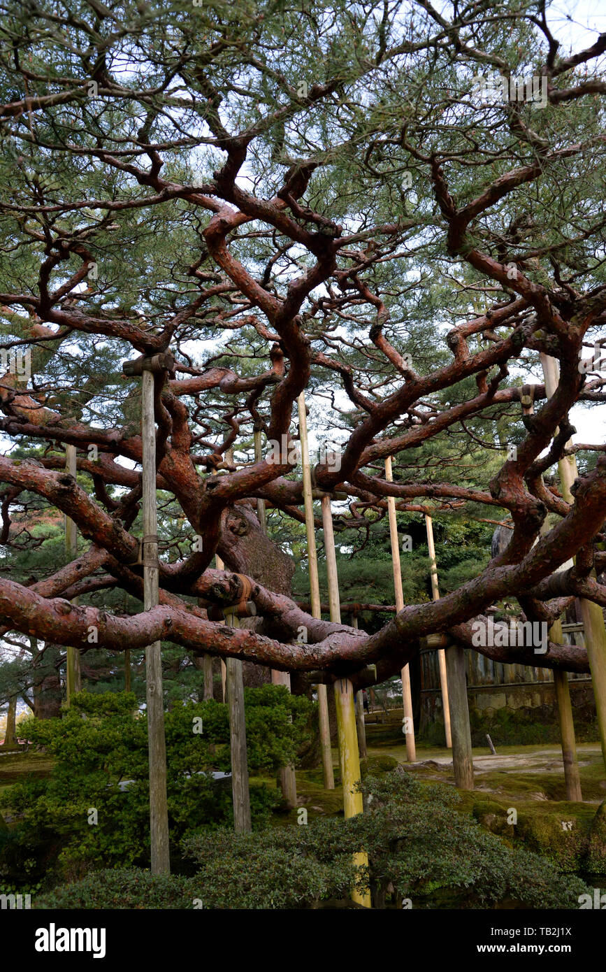 Kanazawa City Japan Stockfoto