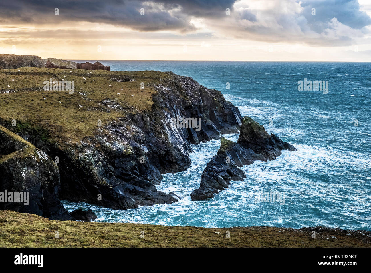 Blick entlang der zerklüfteten Küste von Pembrokeshire National Park, Wales, UK. Stockfoto