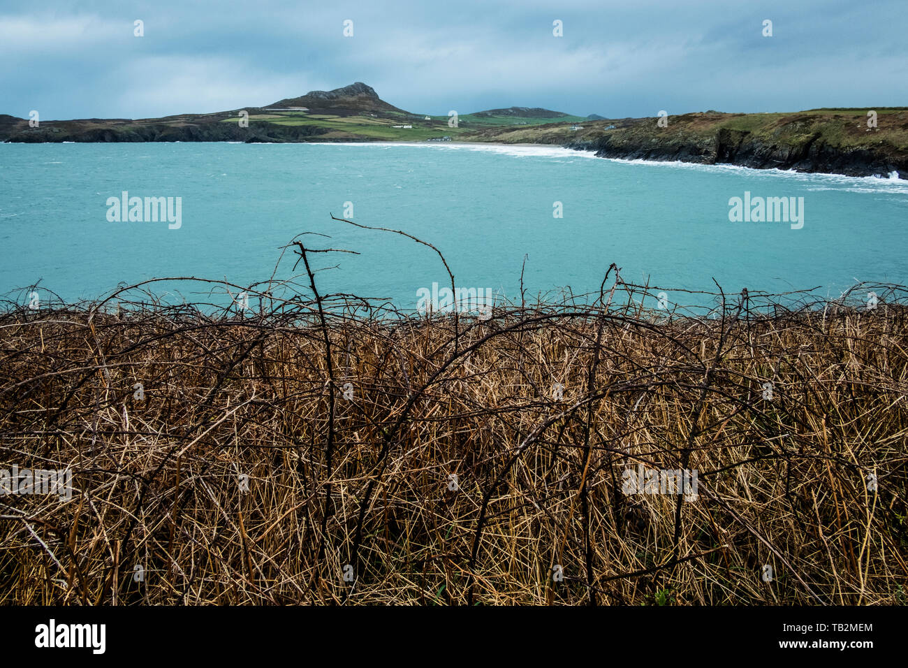 Blick entlang der felsigen Küste von Pembrokeshire National Park, Wales, UK. Stockfoto