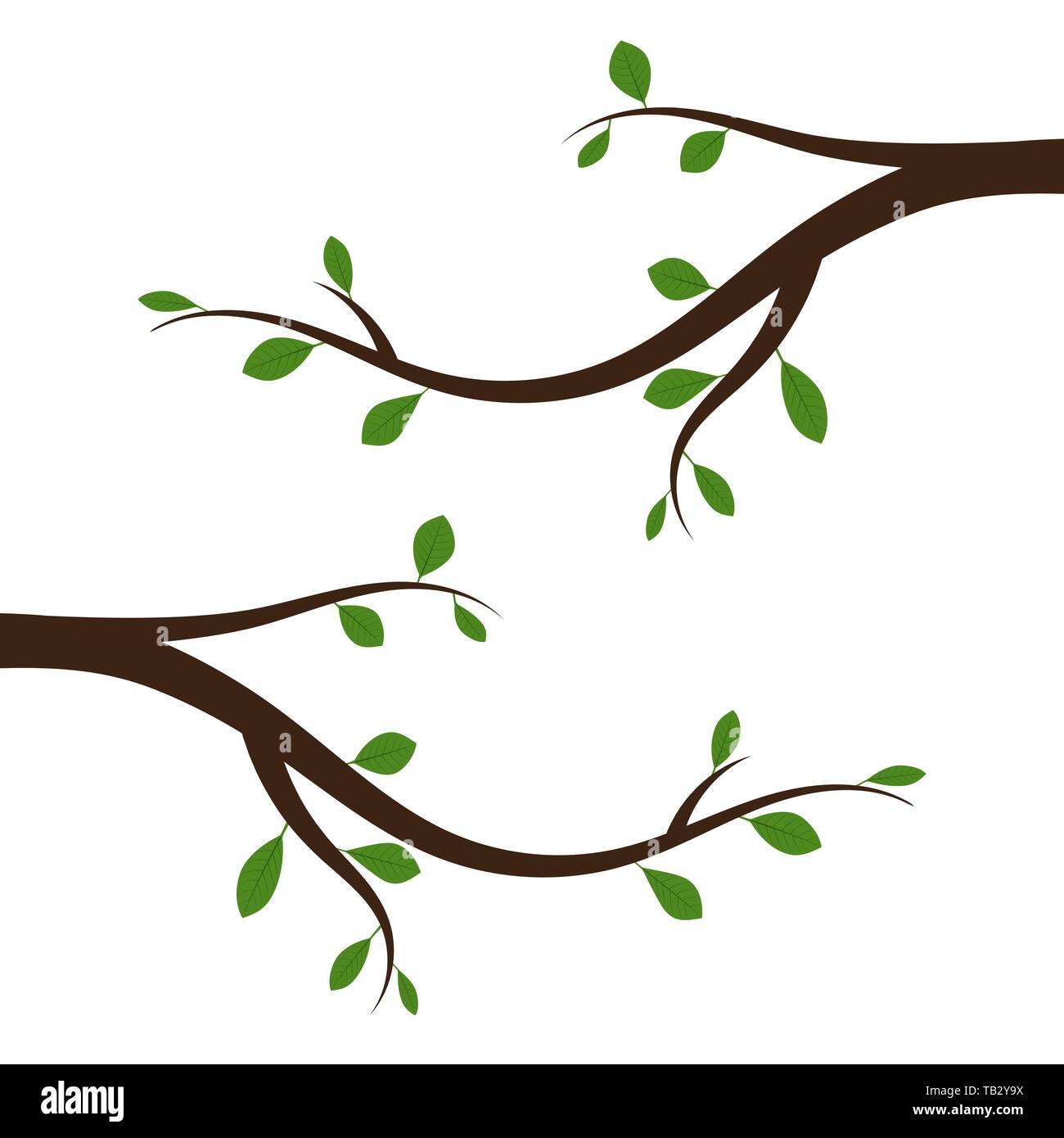 Baum mit grünen Blättern. Vector Illustration. Abstrakte Ast mit Blätter, isoliert. Stock Vektor